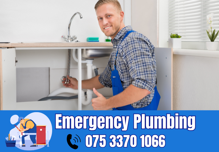  plumber Boughton-under-Blean
