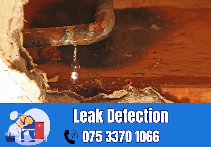 leak detection Faversham