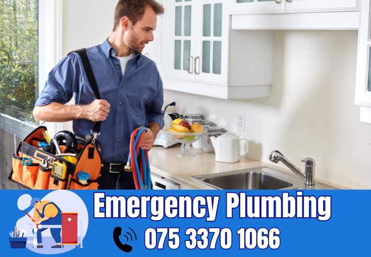  plumber Graveney
