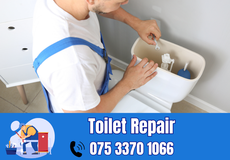 toilet repair Faversham